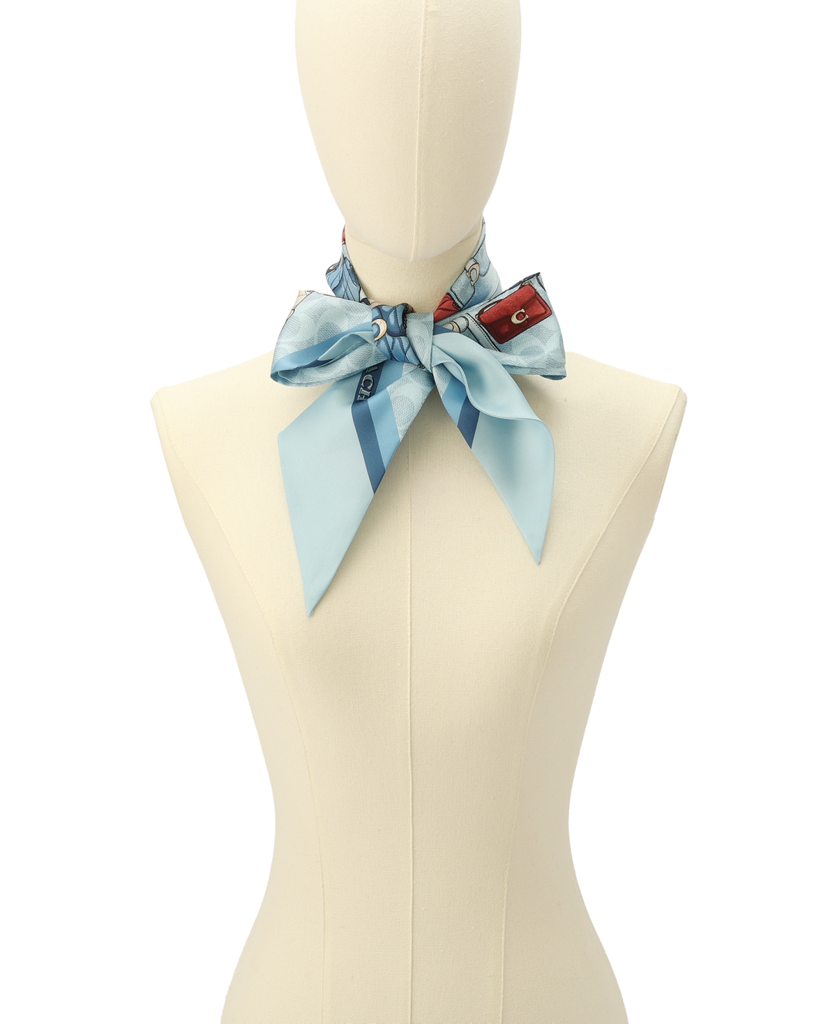 Coach Women's Stacked Tabby Printed Wide Silk Skinny Scarf