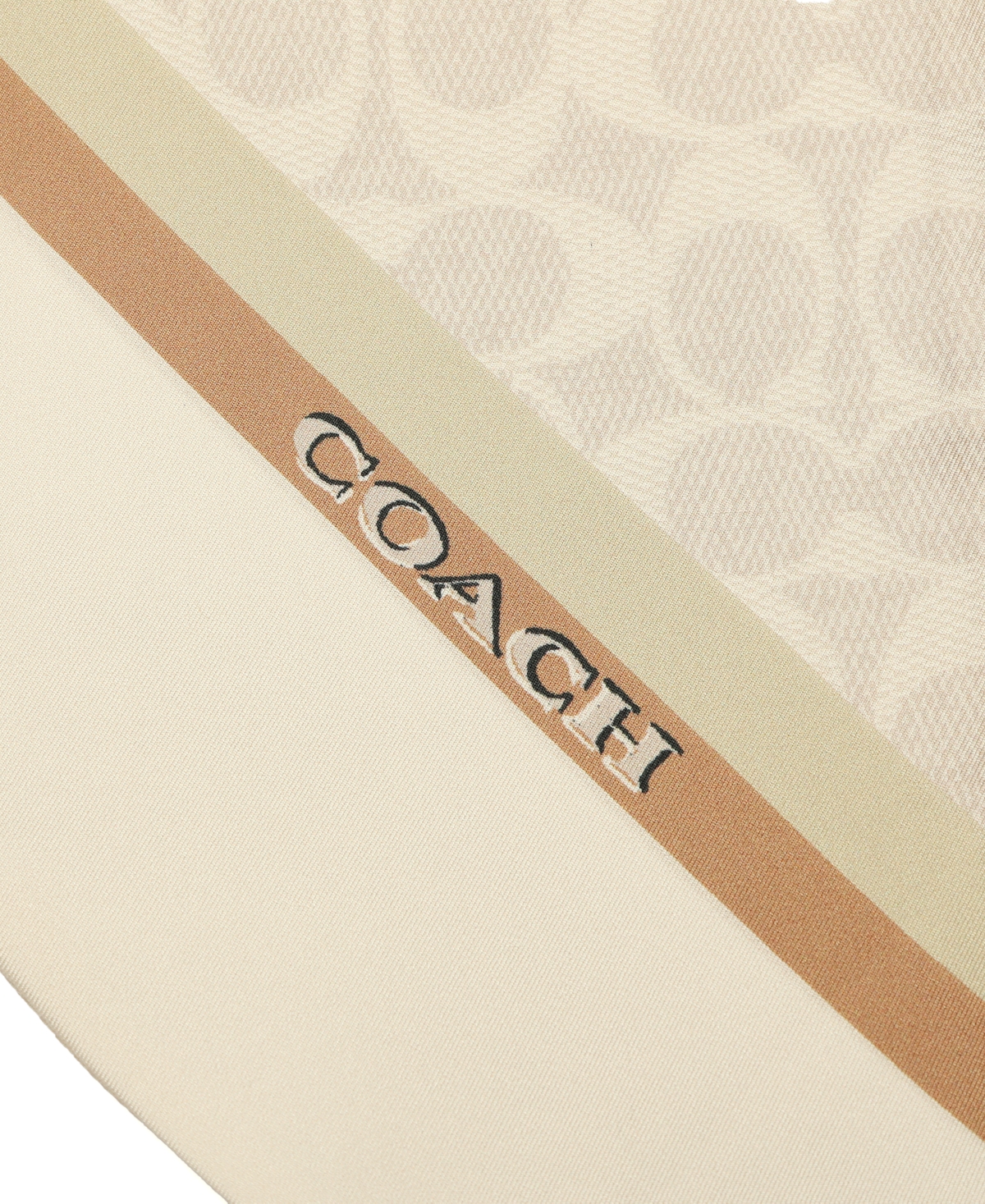 Coach Women's Stacked Tabby Printed Wide Silk Skinny Scarf