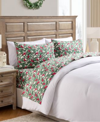 Brushed Cotton Flannel 4-Pc. Sheet Set, Queen