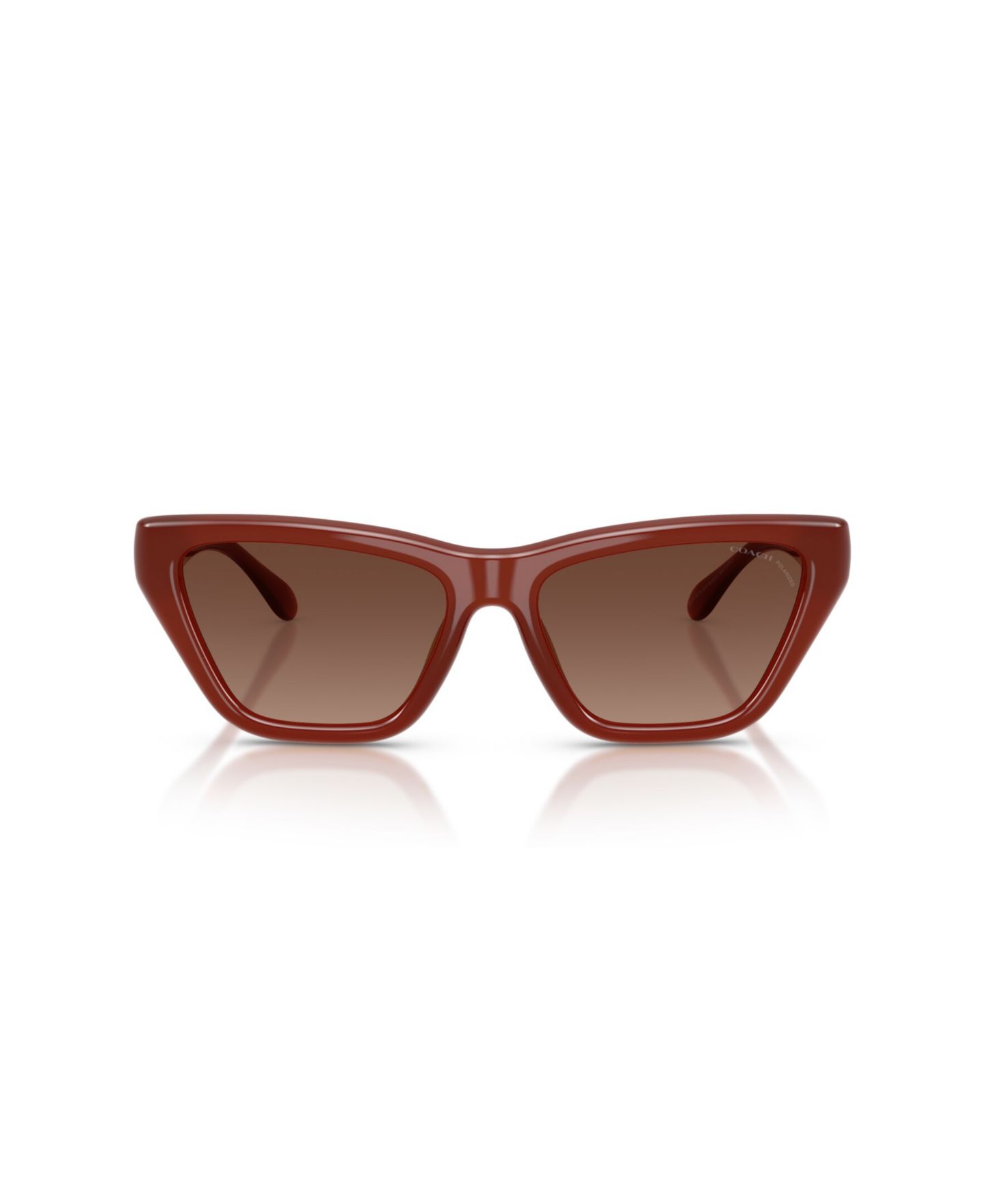 Женские солнцезащитные очки COACH Cat Eye Polarized Sunglasses, CDP33 HC8449U, цвет: Ореховый — фото 2