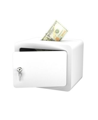 Mini Storage Cabinet Secure Safe With Key and Password