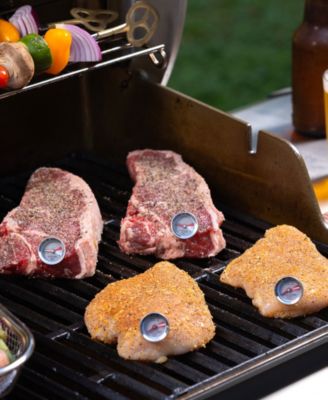 Mini Steak Chicken 4-Pc. Thermometer Set