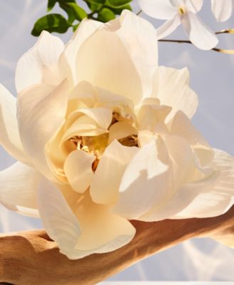 2-Pc. Omnia Crystalline Eau De Parfum Gift Set