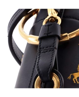 Mini Roy Bucket Bag Embroidered Leather