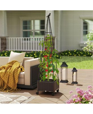 Raised Garden Bed with Trellis and Built-In Planter Boxes