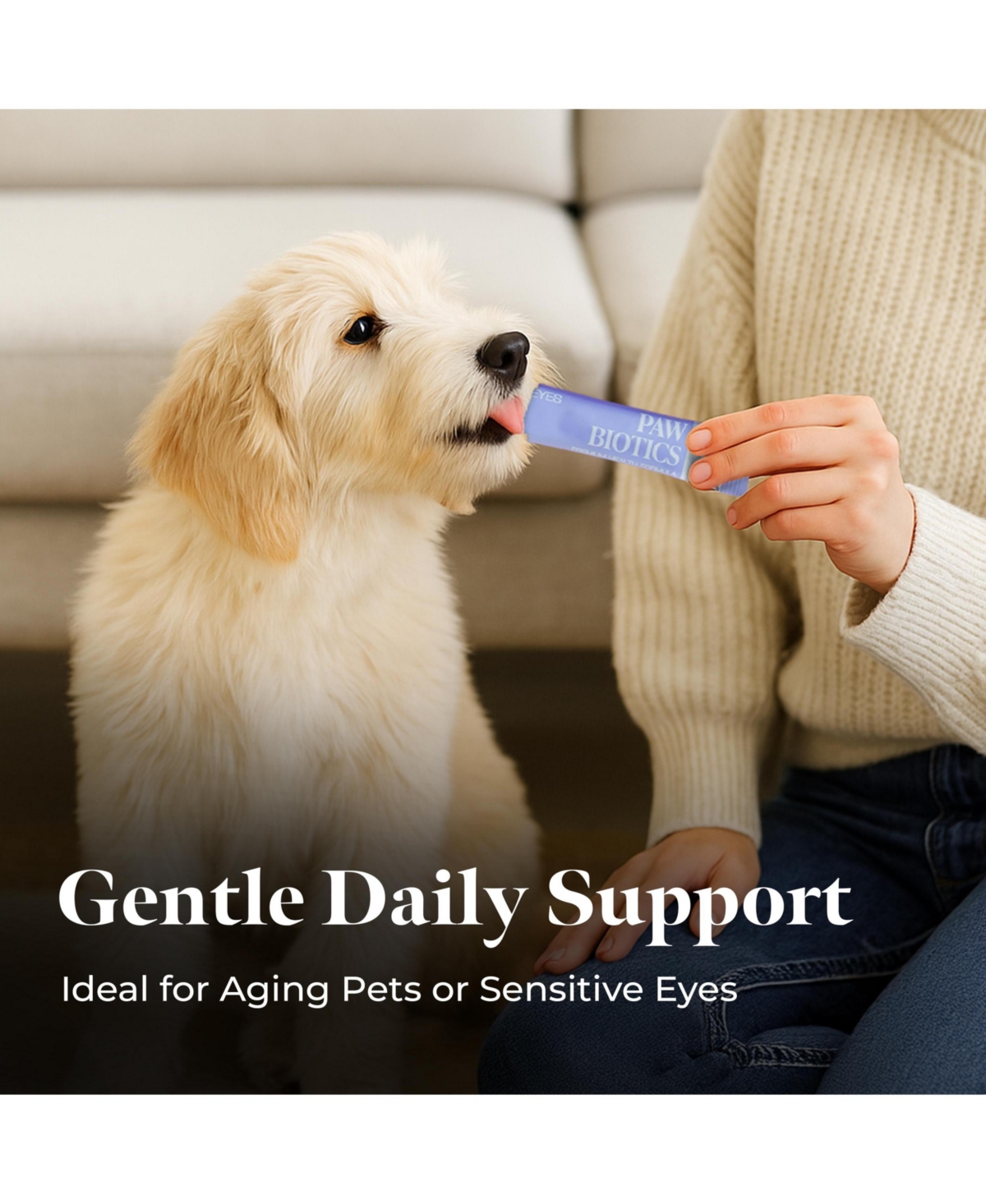 Doggy University Paw Biotics Skin and Coat Supplement for Dogs Cats