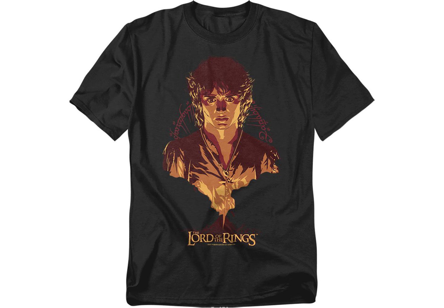 Мужская футболка Lord Of The Rings Frodo Mount Doom, цвет: Чёрный — фото 1
