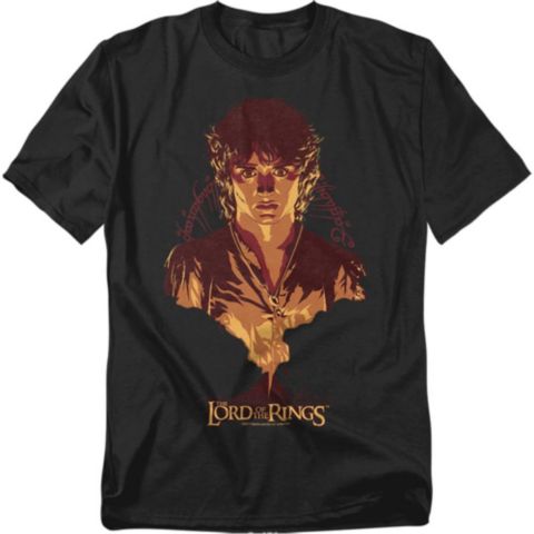Мужская футболка Lord Of The Rings Frodo Mount Doom, цвет: Чёрный