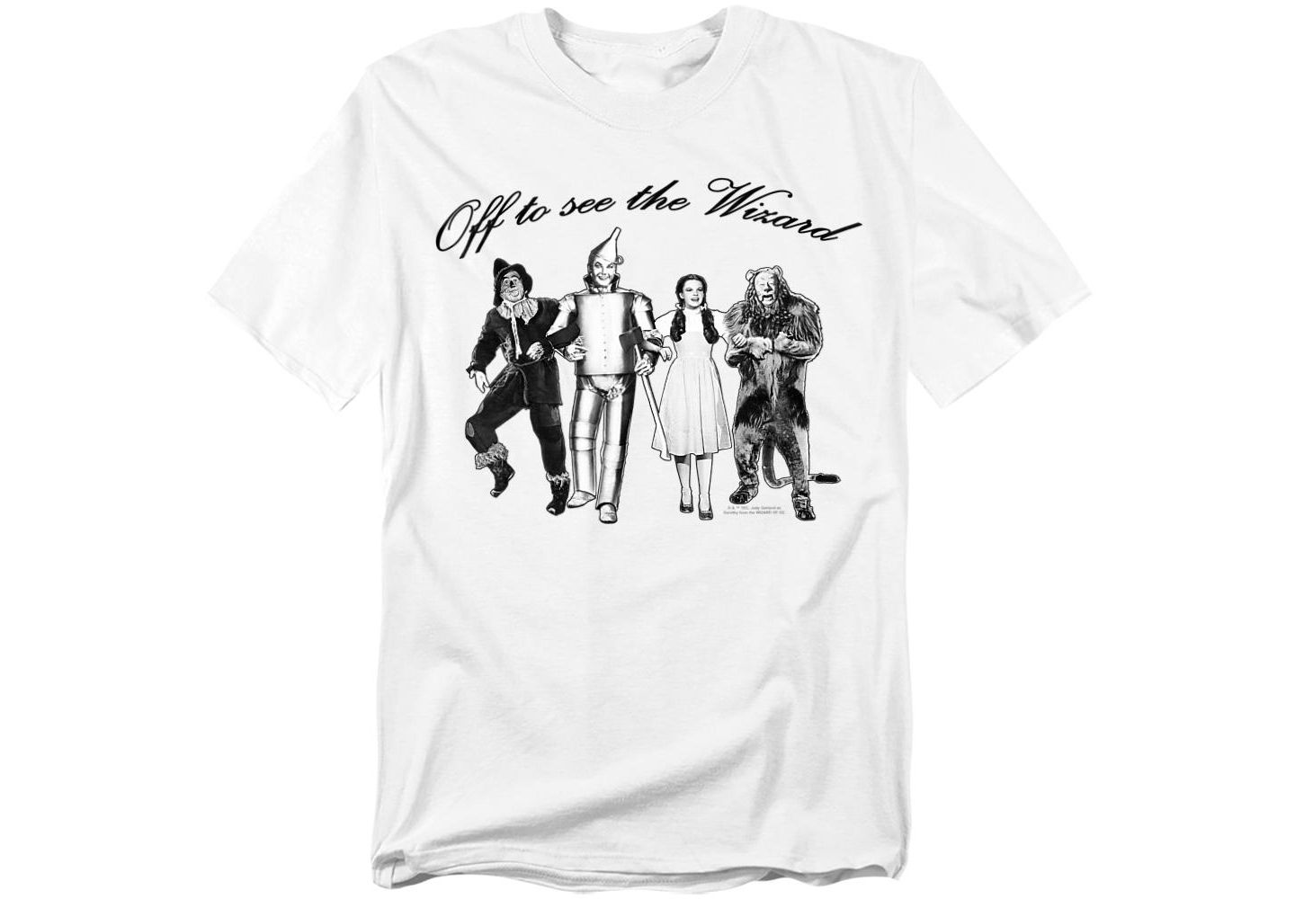 Мужская футболка Wizard Of Oz The Off To See The Wizard, цвет: Белый — фото 1