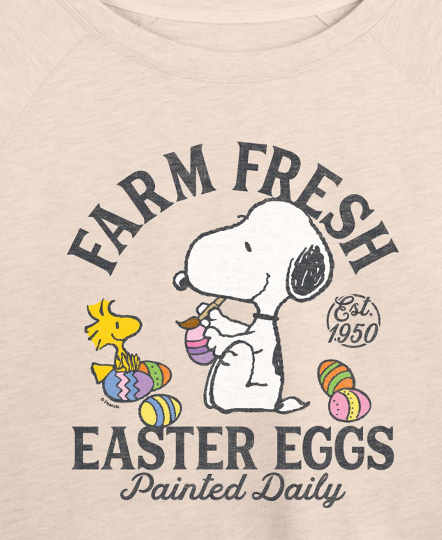 Женская футболка Hybrid Apparel Plus Size Peanuts Farm Fresh Easter Eggs French Terry Long-Sleeve, цвет: Берёзовый — фото 3