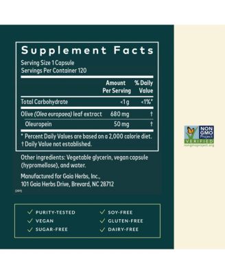 Olive Leaf - Traditional Immune Health Support - Olive Leaf Extract & Oleuropein - 120 Liquid Phyto-Caps (120 Servings)