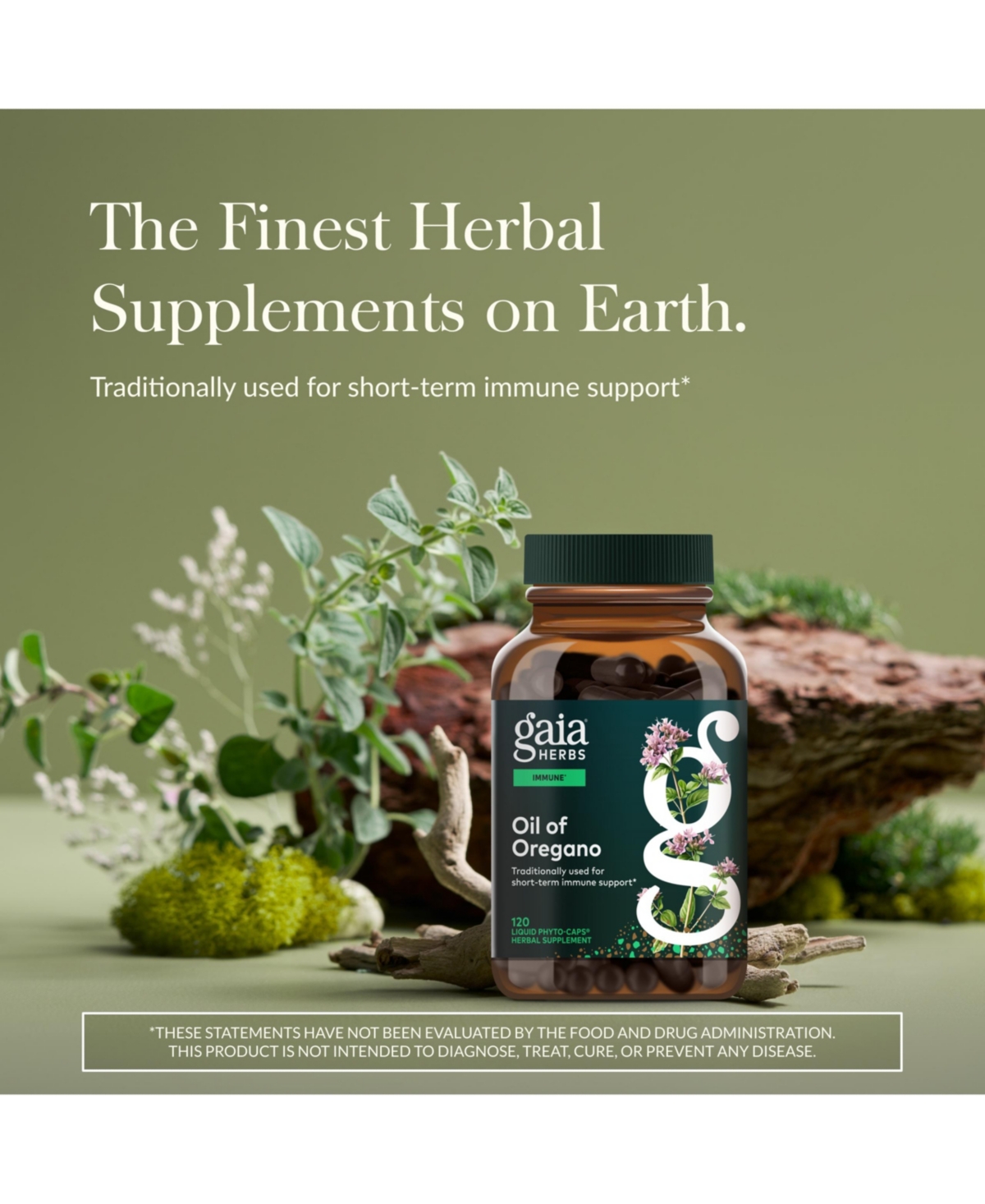 Gaia Herbs Oil of Oregano - Immune and Antioxidant Support Supplement to Help Sustain Overall Well-Being - With Oregano Oil, Carvacrol