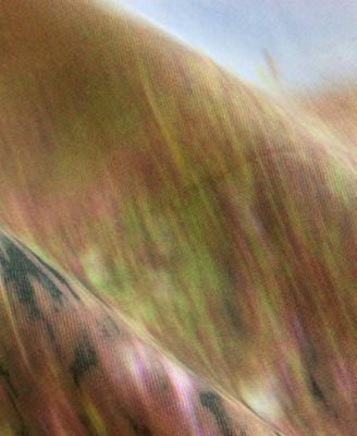 Women's Landscape Everyday Graphic Tee