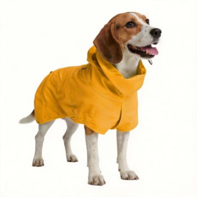 Dog Raincoat - Waterproof, Windproof, Reflective, Breathable, Coverage