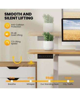 63 x 24 Inch Sit Stand Desk Height Adjustable Electric Standing Desk