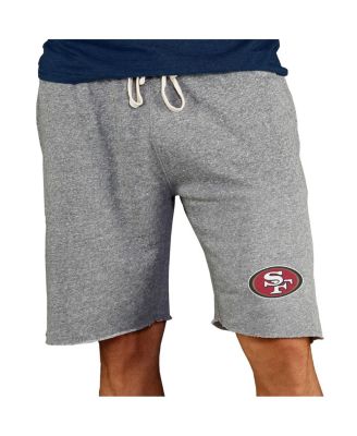 Men's Gray San Francisco 49ers Mainstream Terry Shorts