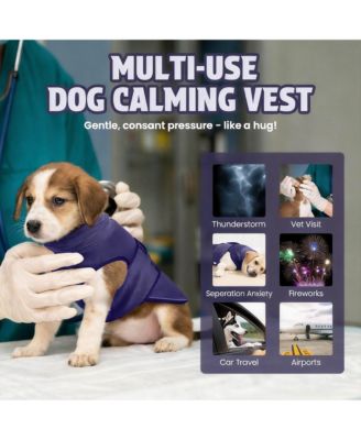 Dog Anxiety Jacket: Comfortable, Calming, Reflective