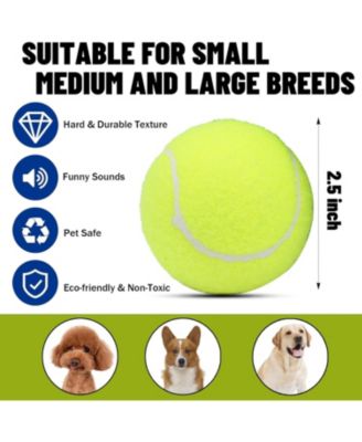 Pack of 20 Squeaky Dog Tennis Balls 2.5 Inch Floatable Fetch Balls in Bright Colors with Mesh Carrying Bag for Pet Training and Exercise