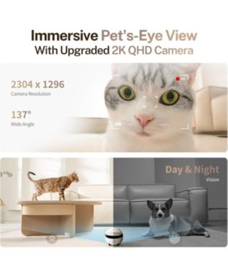 ROLA Mini Smart Companion Robot with 2K Camera, Two-Way Audio & Night Vision