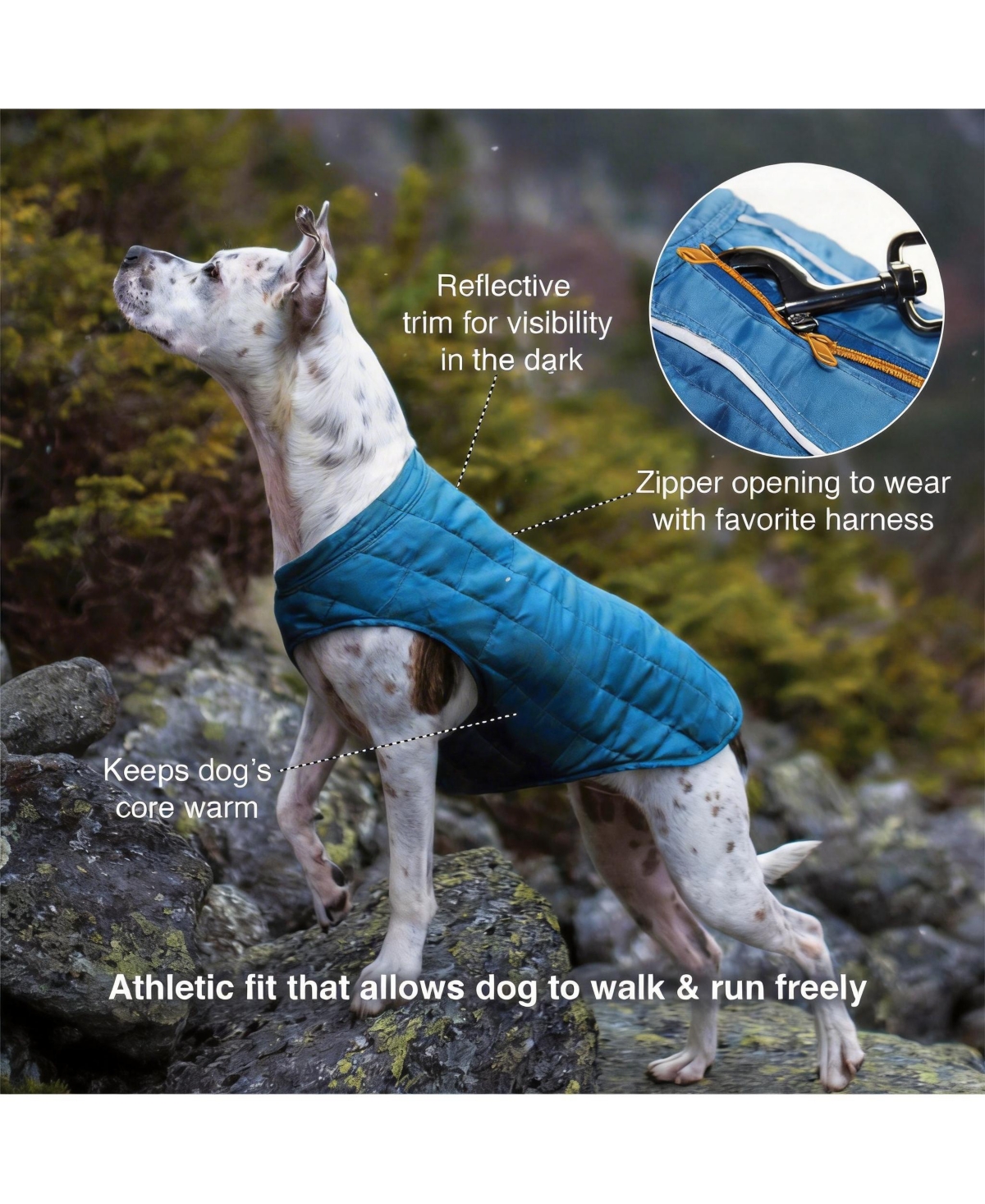Aronkl Loft Dog Jacket: Insulated, Reversible, Water-Resistant, Reflective