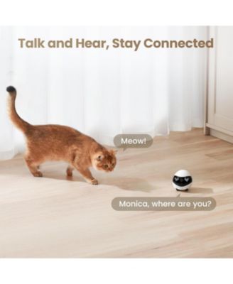 EBO Air 2 Smart Companion Robot with 2K Camera, Two-Way Audio & Night Vision