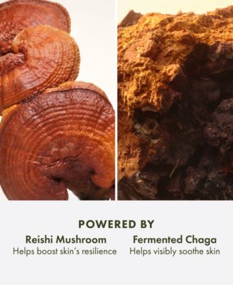 Dr. Andrew Weil Mega-Mushroom Relief & Resilience Soothing Cream, 1.7-oz.