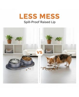Elevated Stainless Steel Tilted Anti Vomiting Non Spill Cat And Dog Bowls with Mat