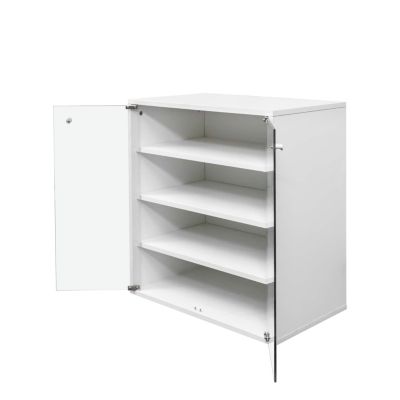 Streamdale RGB LED Shoe Storage Box with Glass Door, Stackable (4 Tier-1)