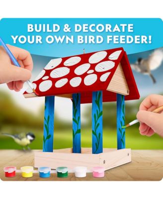 National Geographic Build Your Own Bird Feeder Kit