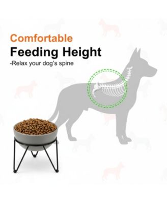 Elevated Dog Ceramic Bowl Set 2 Pack with Anti-slip Non-tip Metal Stand for Dogs Food Water Feeding