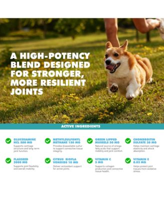 Joint Gold Support Powder for Dogs & Cats – 8.8 oz / 250 g