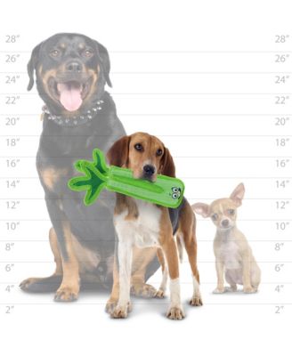 Funny Food Celery, Durable Plush Squeaky Dog Toy