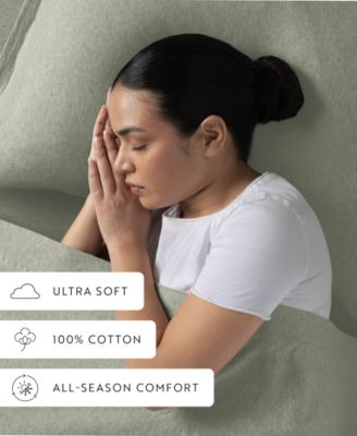 Jersey Cotton 4-P.c. Sheet Set, Queen