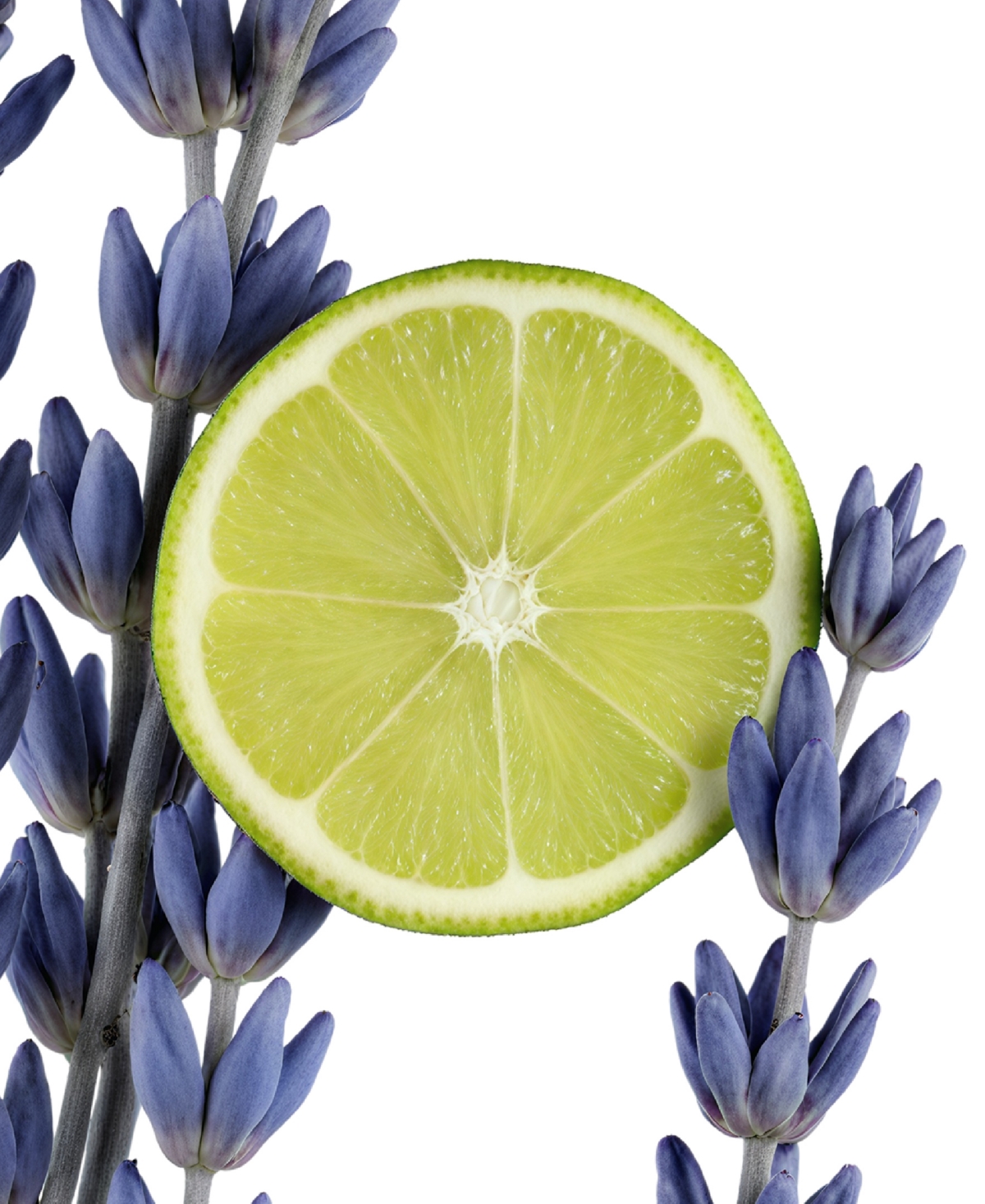 Parfums de Marly Percival Shower Gel, 6.7 oz.