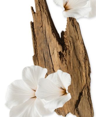 Valaya Body Cream Refill, 6.7 oz.