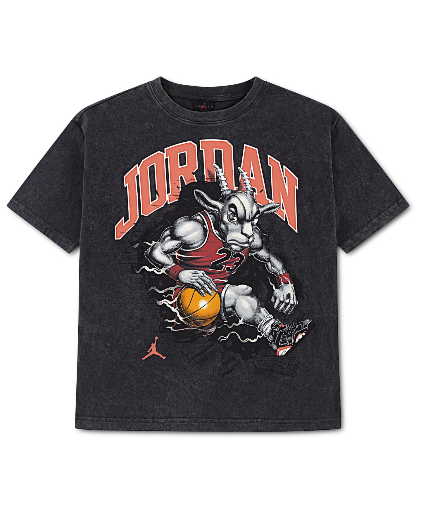 Детская футболка Jordan The Goat с коротким рукавом, 8-20, цвет: Чёрный — фото 1