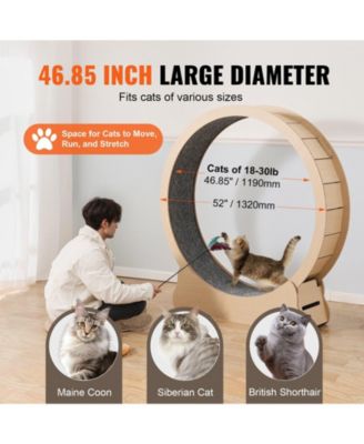 52" Wooden Cat Exercise Wheel with Detachable Carpet