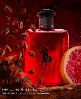 3-Pc. World of Polo Eau de Toilette Gift Set