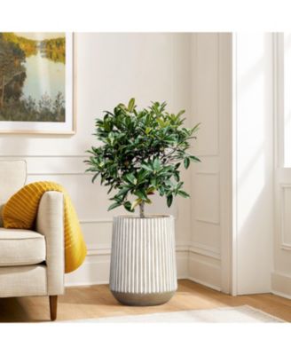 12.6-Inch Round Brown and White Striped MgO Planter