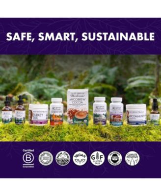 Mushrooms, Lion's Mane Gummies, Blueberry, 90 count