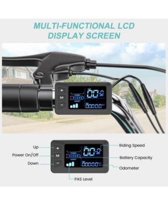 350W Electric Tricycle for Adults