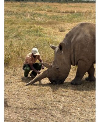 Silent Strength Beaded Bracelet &acirc;€“ with & Triangles