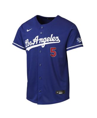 Big Boys and Girls Freddie Freeman Royal Los Angeles Dodgers Alternate Stadium Jersey
