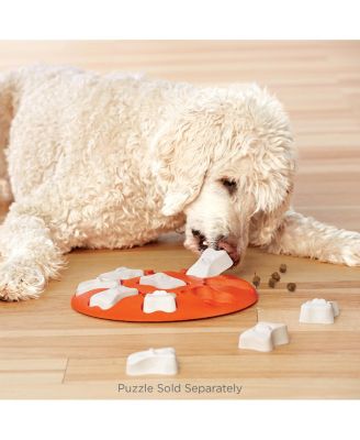 Paw N Play Interactive Dog Puzzle Level 2 Intermediate Enrichment Treat Feeder Slow Eating Mental Stimulation