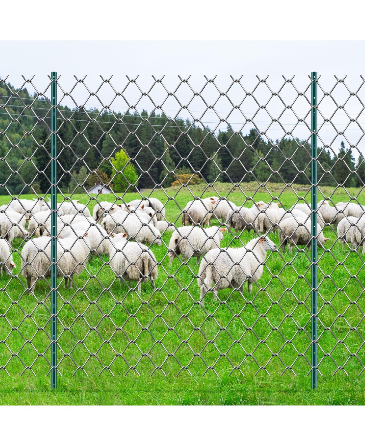 Sugift Fence Post, 10 Pack, U-Channel Heavy Duty Steel, for Garden and Lawn Use