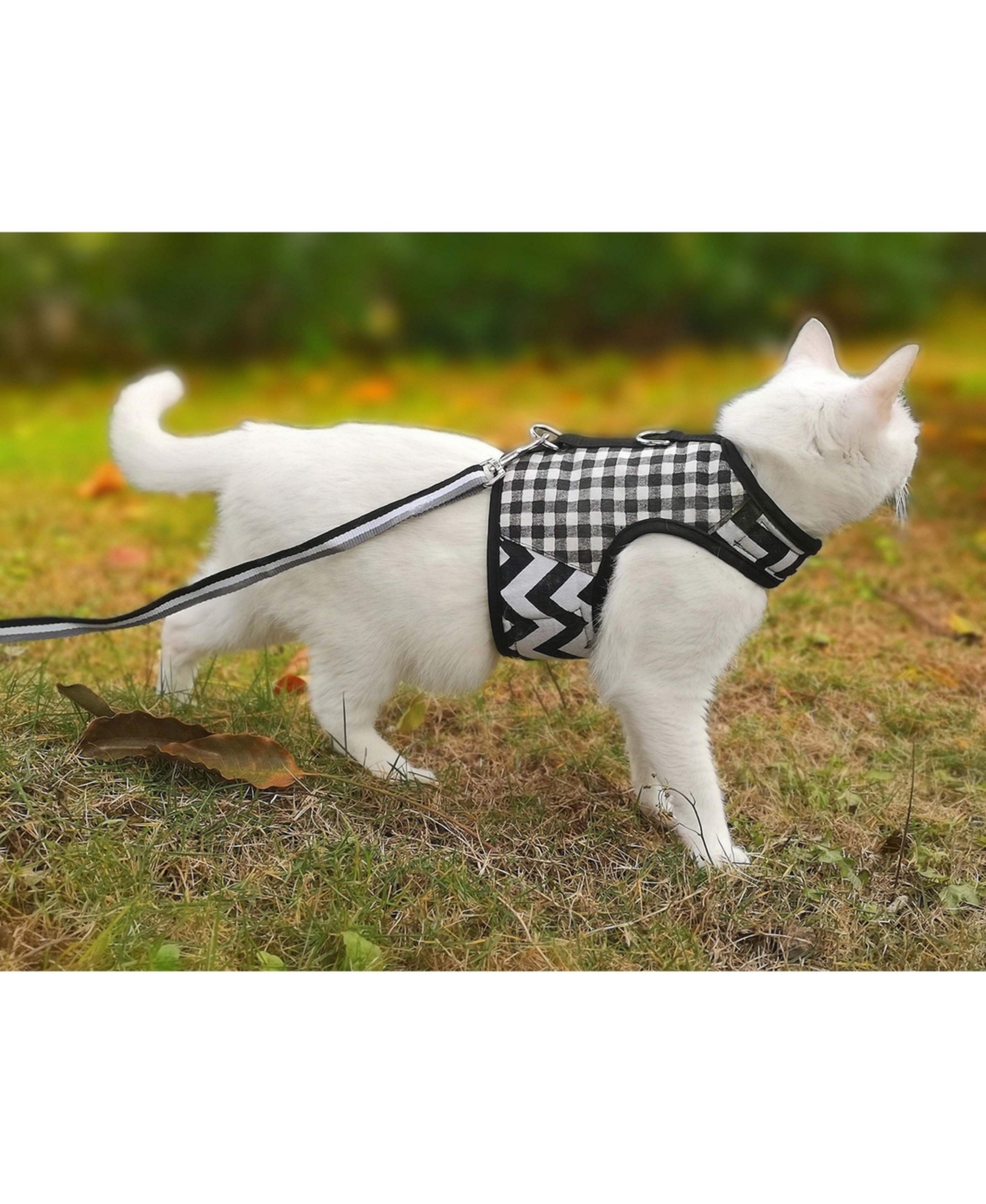 Aronkl Escape Proof Cat Harness Leash Set Breathable Mesh Adjustable Padded Vest For Walking