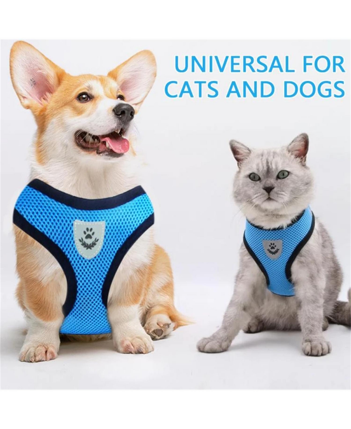 Zeus and Ruta Cat Harness with Adjustable Control Vest, Reflective Straps,and Matching Leash