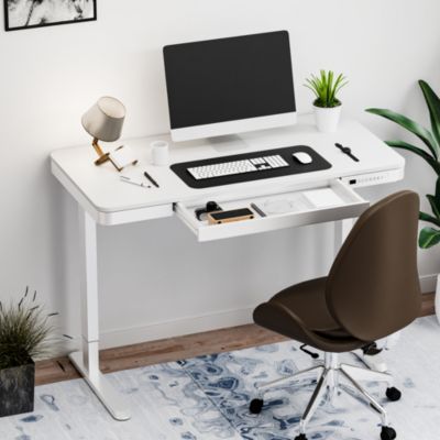EW2 48"x24" Electric Height-Adjustable Desk with Spacious Drawer - Quick Install