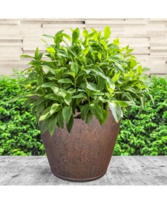 Indoor/Outdoor Patio, Garden, or Porch Weather-Resistant Double-Walled Anjelica Flower Pot Planter - 24"