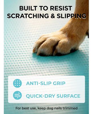 Foldable Dog Pool Collapsible Non Slip Durable Pet Bath Tub Indoor Outdoor Kiddie Pool Multifunctional Quick Draining